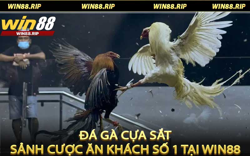 Đá Gà Cựa Sắt