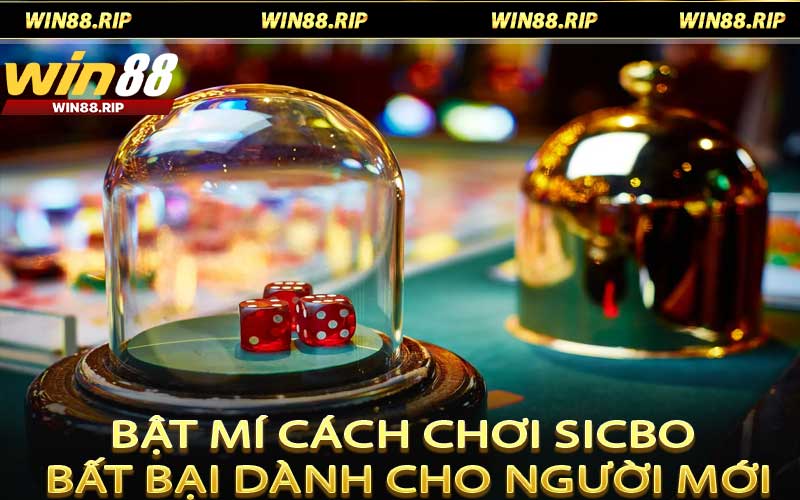 Bật mí cách chơi Sicbo