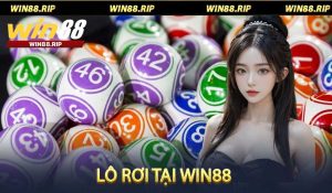 Lô Rơi